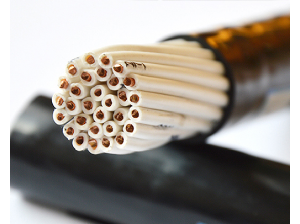 控制电缆 1