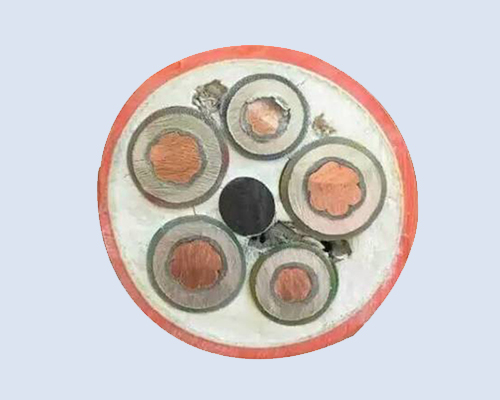 矿物质绝缘电缆 1