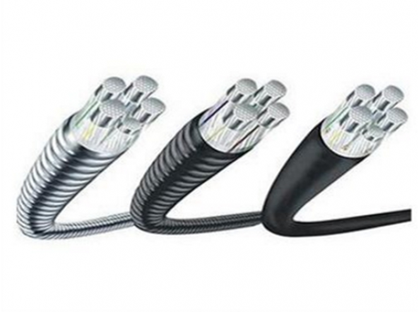 稀土高铁铝合金电缆 1