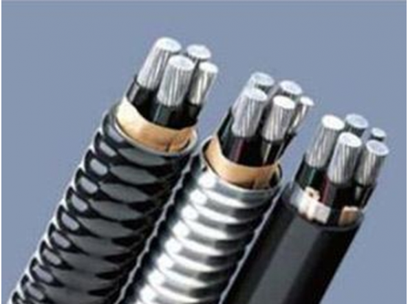 稀土高铁铝合金电缆 2